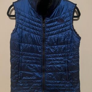 The North Face Royal Blue Quilted Outerwear